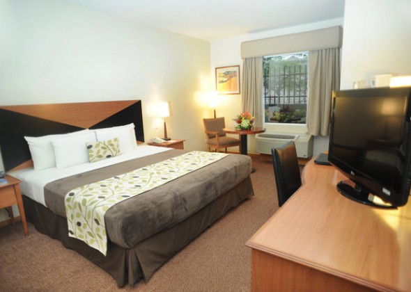 hotel Sleep Inn San Jose, habitacion standard