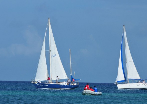 Aruba, regata